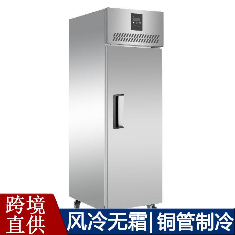酒店冰柜厨房商用冷冻柜大容量立式冷藏海鲜速冻冷库肉品保鲜急冻