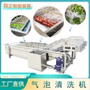 果蔬气泡清洗机 水循环喷淋式 蔬菜鼓泡翻浪清洗设备 洗菜洗果机