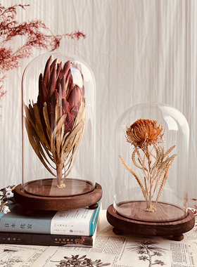 样板间轻奢植物标本装饰品玻璃罩摆件花艺中草药复古简约标摆件