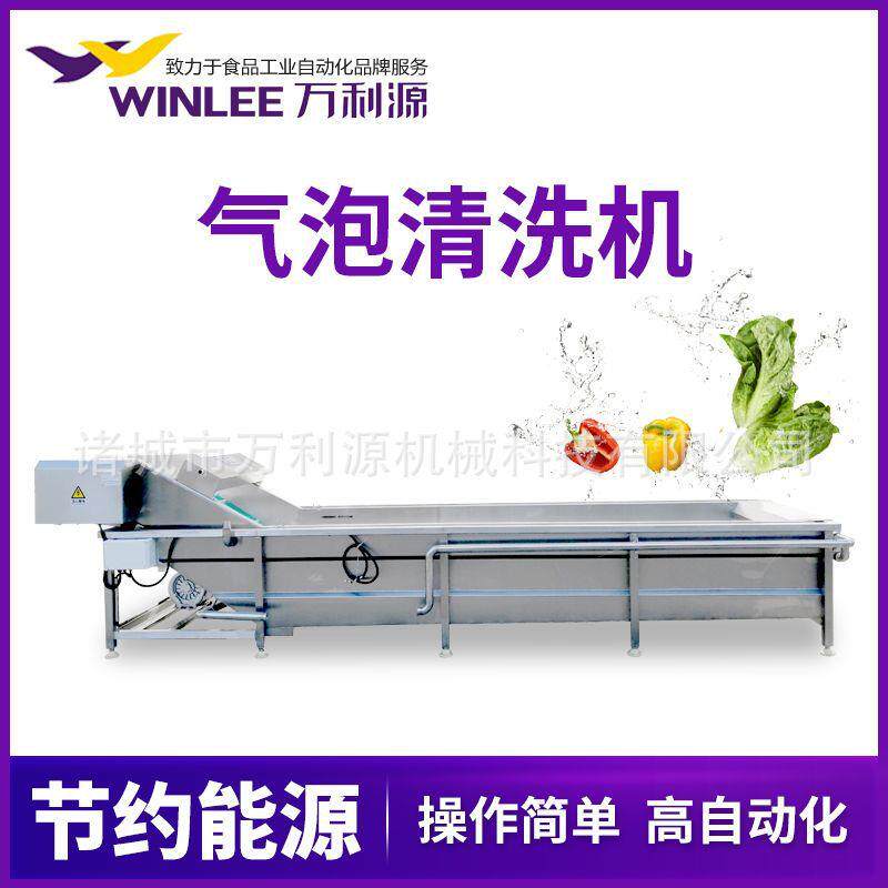 商用果蔬加工流水线 大枣去杂臭氧杀菌气泡清洗设备 工作效率高