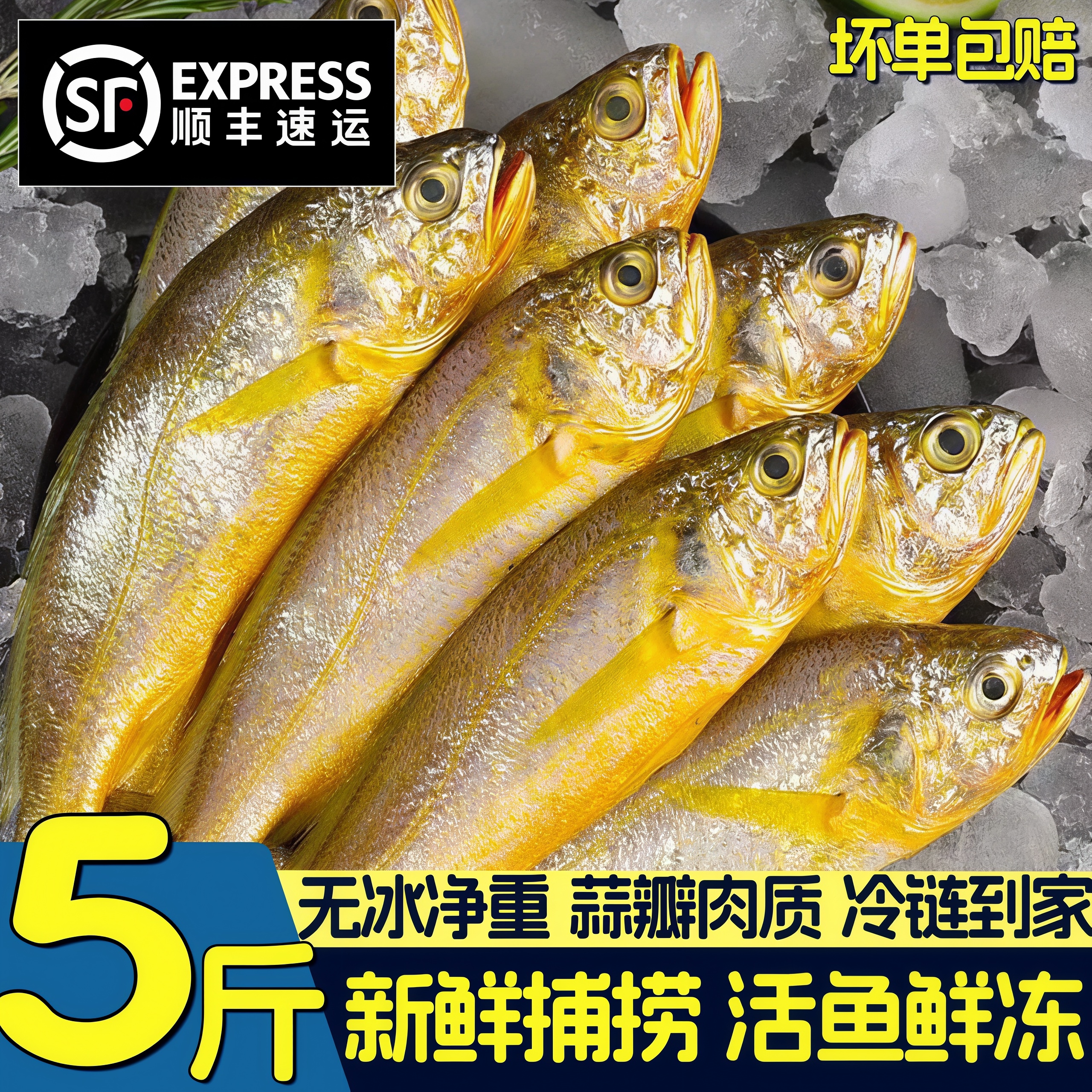 5斤新货当季小黄花鱼冷冻顺丰图片