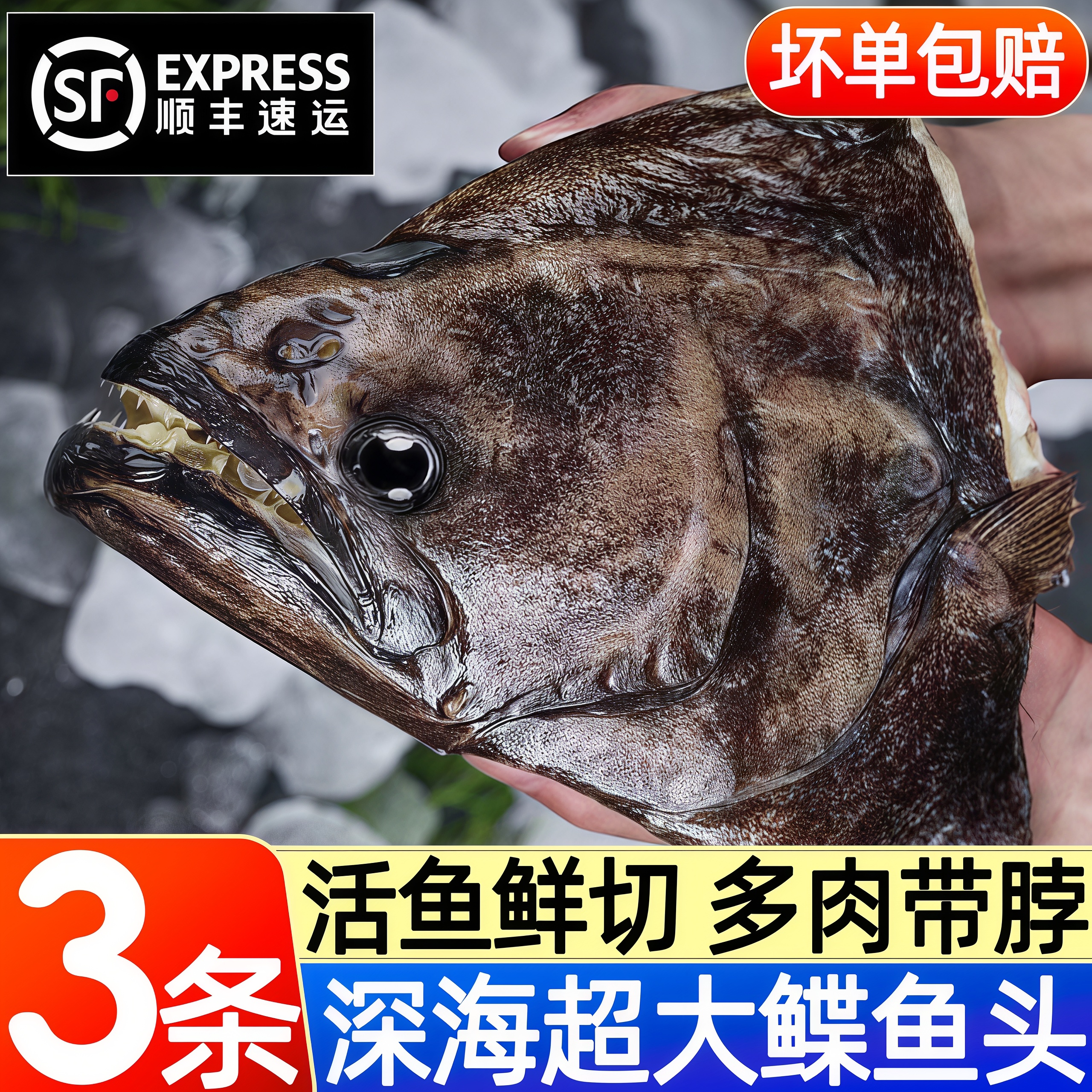 深海冷冻超大鲽鱼头比目鱼头顺丰