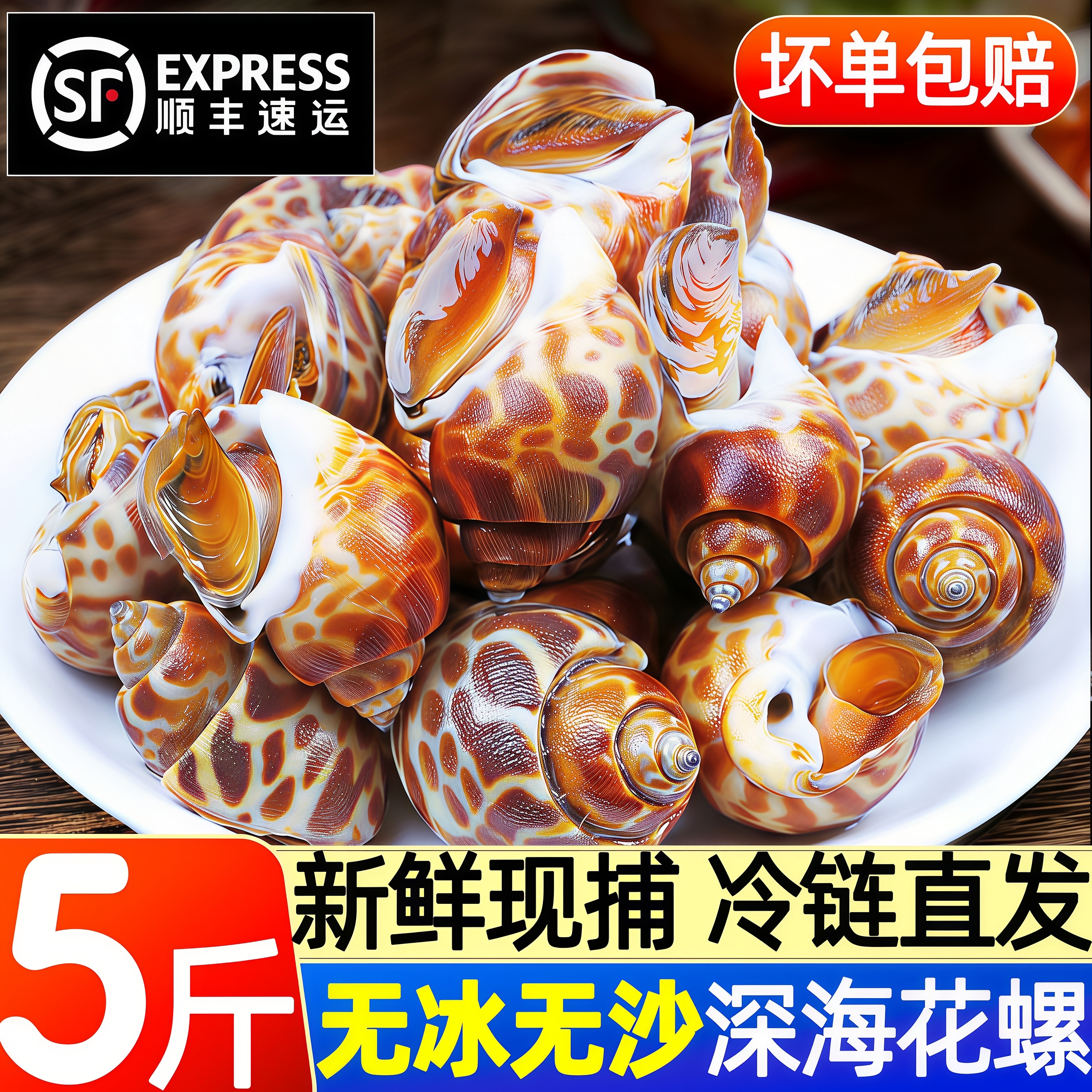 花螺鲜活新鲜海螺特大号海鲜水产鲜活鲜冻冷冻东风螺特大花螺贝类