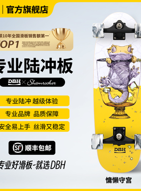 DBH陆地冲浪板「慵懒守宫」男女生儿童成人滑板专业刷街代步陆冲