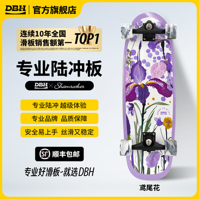 DBH滑板专业陆冲板官方旗舰店