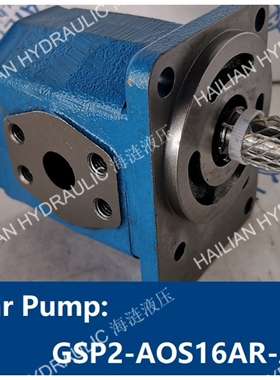 Gear Pump GSP2-AOS16AR hydraulic spares 舱盖油泵船舶液压备件