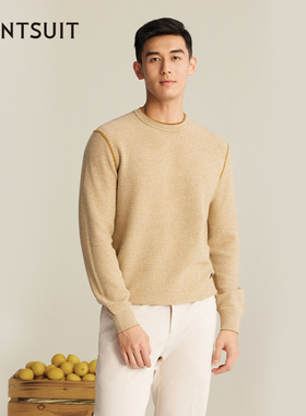 WANTSUIT秋冬男士姜黄肌理圆领毛衫人夫感老钱轻奢通勤休闲绵羊毛
