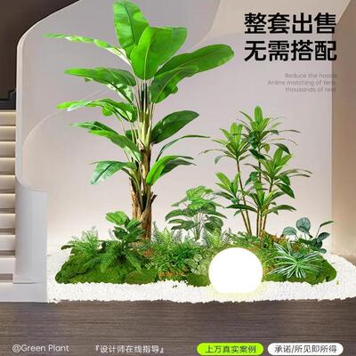 仿真QPM绿室植造景组合橱窗装饰假植物景造景庭院关布置玄内氛观