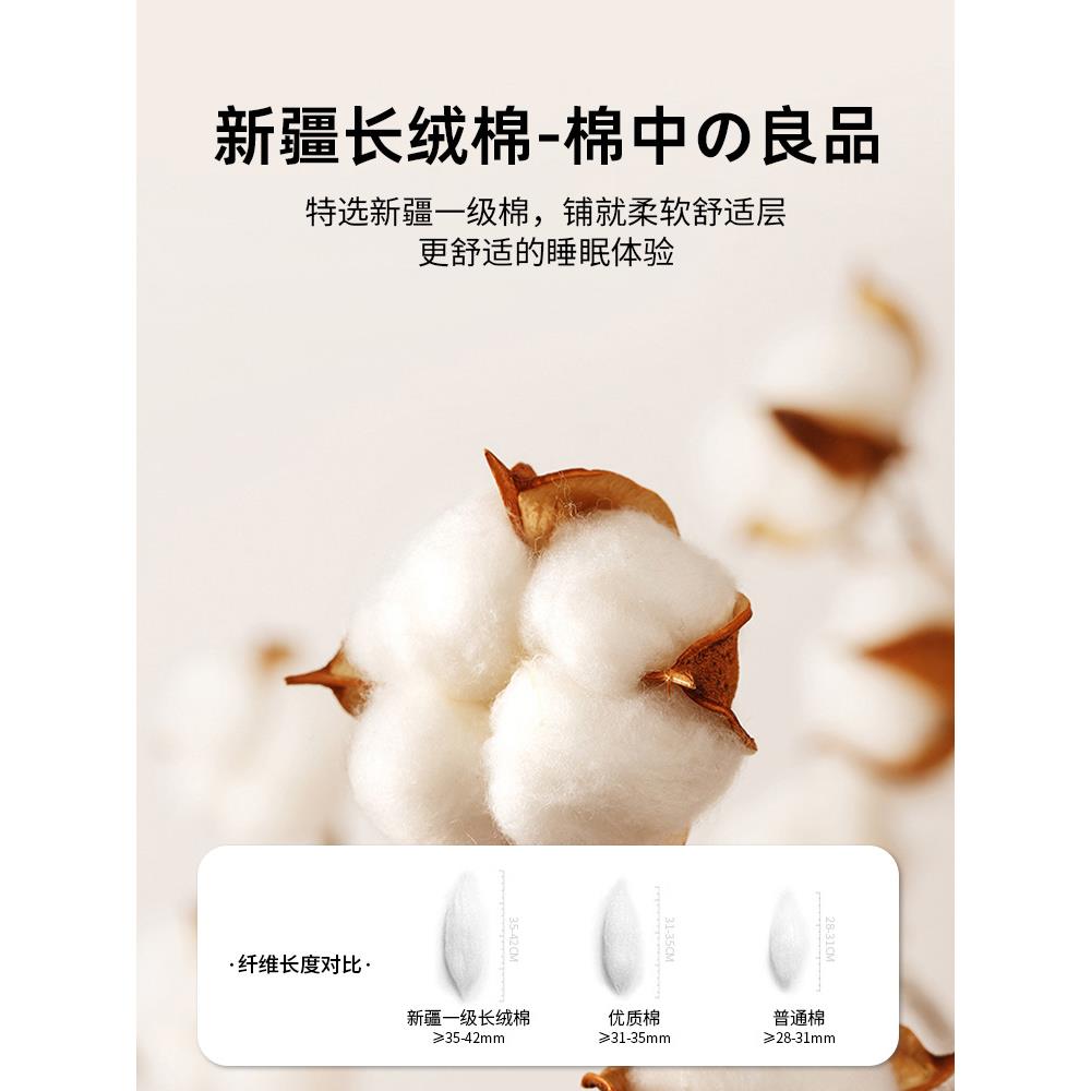 YLY床垫冬季棉家用加厚床褥垫榻米榻垫子褥垫被褥子铺花底海绵儿