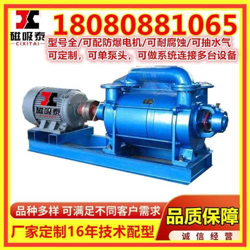 环2SK0水环式泵真空泵45KW水泵ZOT无油单头真空机组ZJ2P罗茨泵