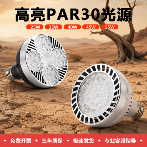超亮LED服装店PAR30轨道射灯