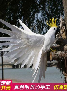 仿真小鸟金刚鹦鹉摆件真羽毛彩色动物标本摄影道具教学工艺品模型