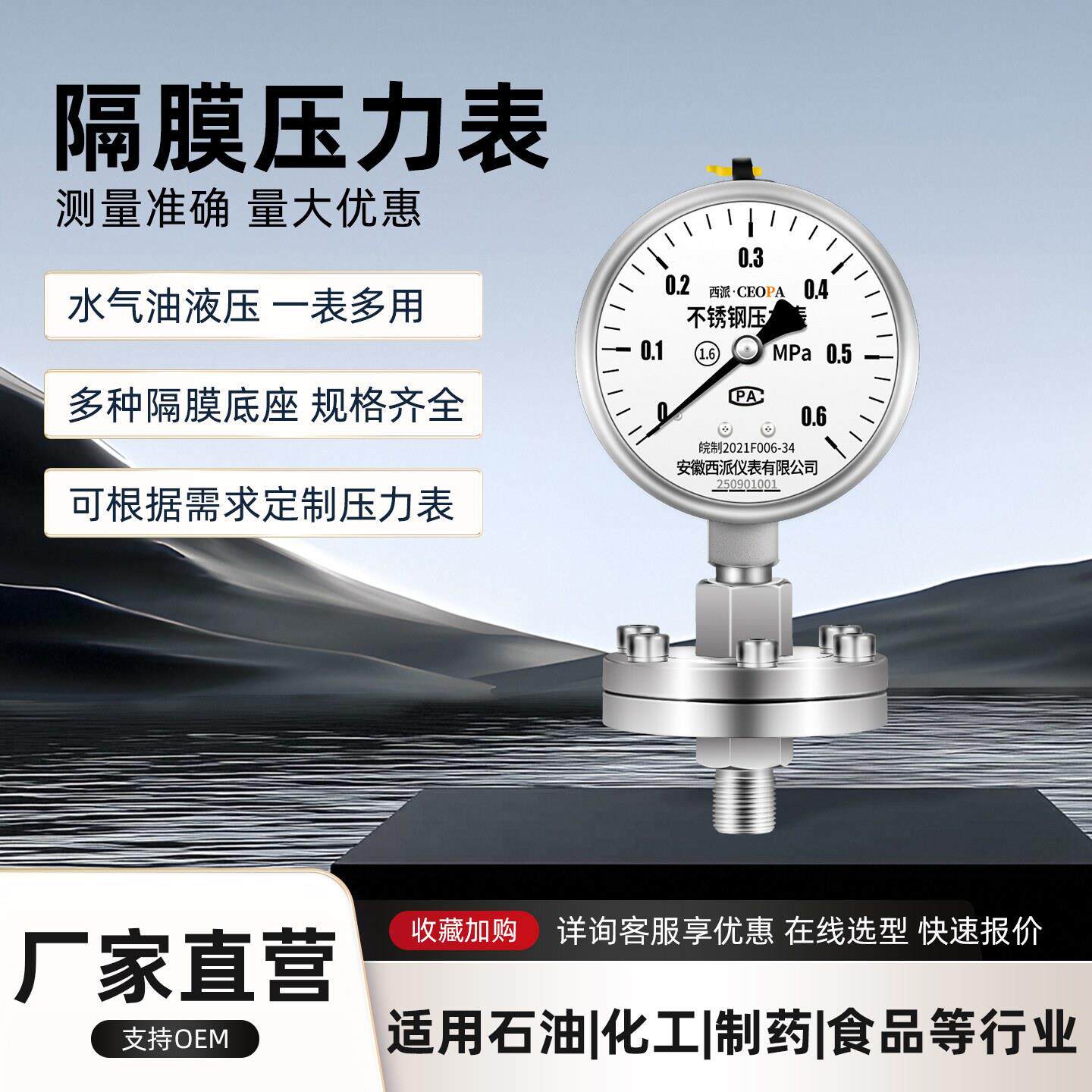 不锈钢螺纹隔膜压力表不锈钢压力表304耐震压力表法兰螺纹式链接