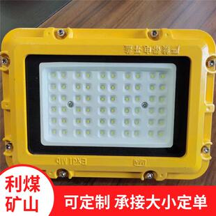 DJS8/127LJ（A）矿用隔爆兼本质型LED应急灯 LED巷道灯