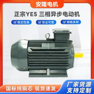 正宗YE5 一级能效三相异步电动机电磁调速电动机变频调速三相电机
