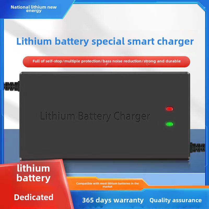 12V24V36V48V60V72V磷酸铁锂电池组专用充电器3A5A10A