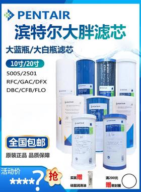 滨特尔大蓝瓶滤芯10寸20寸大胖PP棉RFC DFX GAC覆合滤芯家用前置