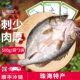 仙泉湖三去白蕉海鲈鱼500g 3条净膛冷冻刺少肉厚珠海特产水产