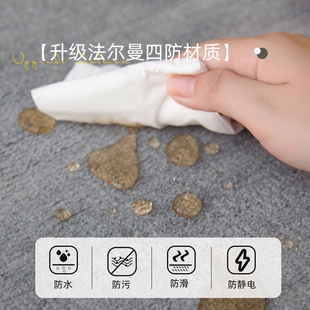 家用门口高级感脚垫进门耐脏可裁剪门外地毯 地垫入户门垫2023新款