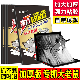 30张老鼠粘强力粘鼠板抓大老鼠贴夹扑捉灭鼠胶沾强力粘鼠捕鼠神器
