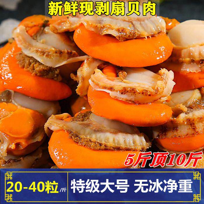 无冰衣大号扇贝肉鲜活冷冻新鲜超大海鲜水产商用粉丝带黄红贝5斤