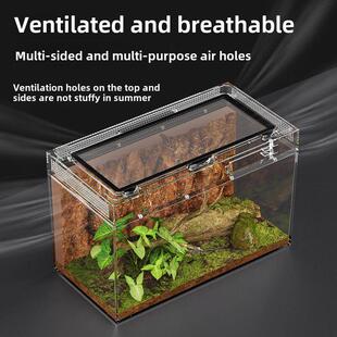 BG亚克力宠物蛇饲养箱养小蛇专用缸雨林造景生态缸爬宠爬虫饲养盒