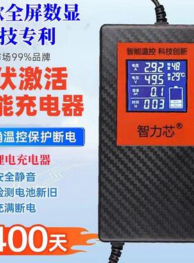 锂电池电动车充电器48V36V60V24V2A72V平衡车哈雷电车锂离子通用