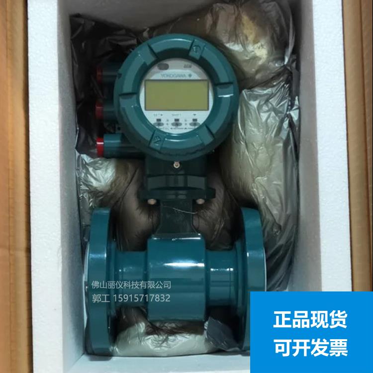 横河电磁流量计AXW065 AXG080 AXF050G AXF015 涡街流量计 DY100