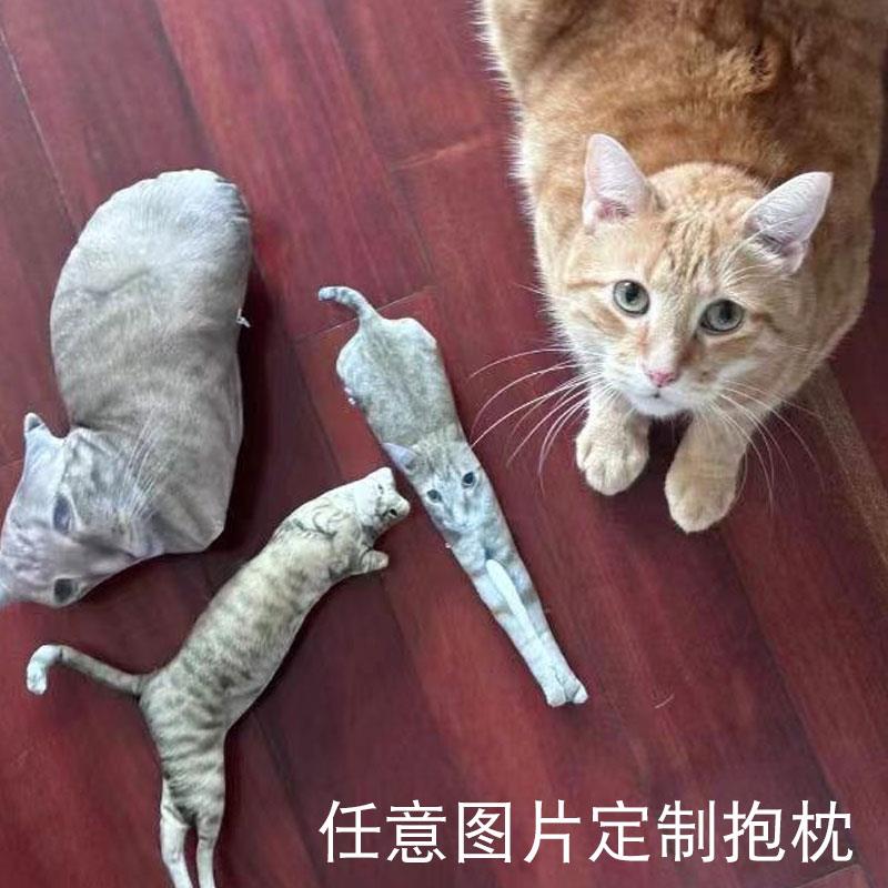 丑猫抱枕照片来图定做宠物枕猫咪狗仿真礼物玩偶diy定制抱枕异形