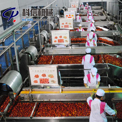 2024红枣酱制作设备 定制红枣果酱加工生产线 红枣果酱生产机械