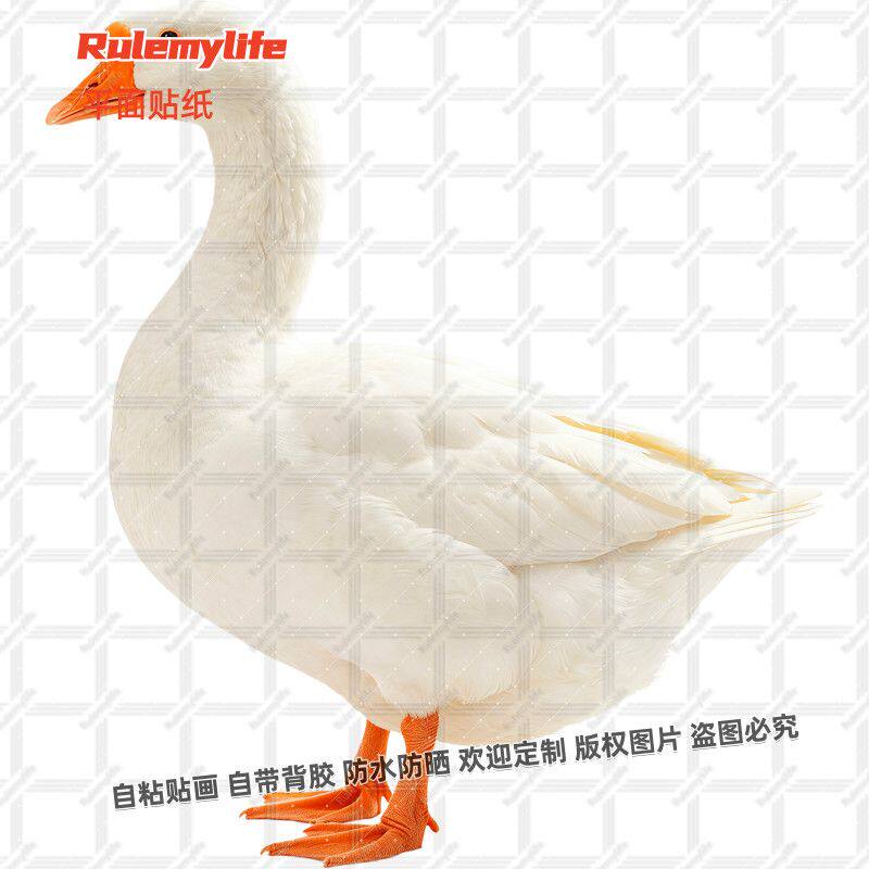 大鹅贴纸自粘贴画贴店铺商铺大鹅