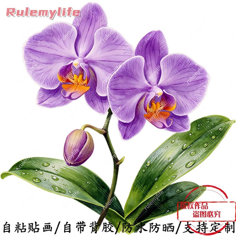 紫色兰花无背景中式自粘贴纸室内