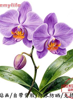 紫色兰花无背景中式自粘贴纸室内