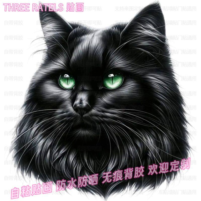 黑猫灵猫贴纸黑猫车贴门贴画墙上贴饰护宅贴纸贴墙出租屋自贴装饰