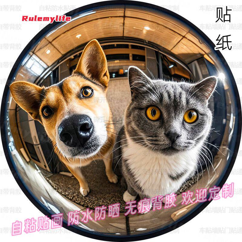 猫猫狗狗圆形贴纸创意猫眼网红爆