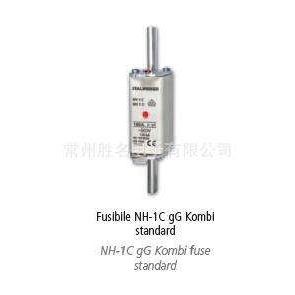 ITALWEBER 熔断器NH1C Nh1 160A 500V 120KA gL/gG CE 保险丝管体