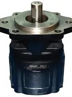 HDD35.50 系列 凯斯帕齿轮泵,国产 CASAPPA型 液压泵