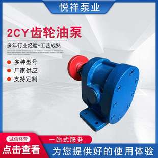 不锈钢齿轮泵增压燃油泵循环抽油泵2CY齿轮油泵 供应2CY齿轮油泵