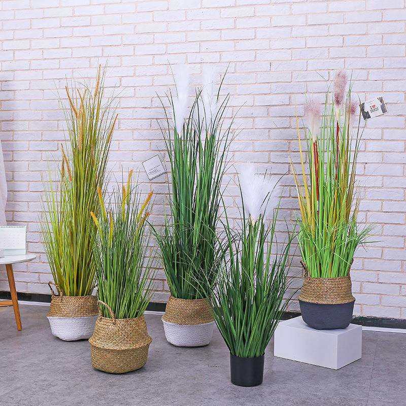 仿真狗尾巴芦苇绿植橱窗装饰植物家居室内植物装饰品仿真落地植被