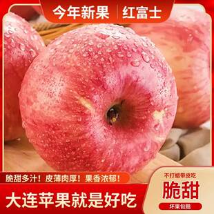 正宗大连红富士苹果当季新鲜水果瓦房店苹果整箱脆甜多汁现摘现发