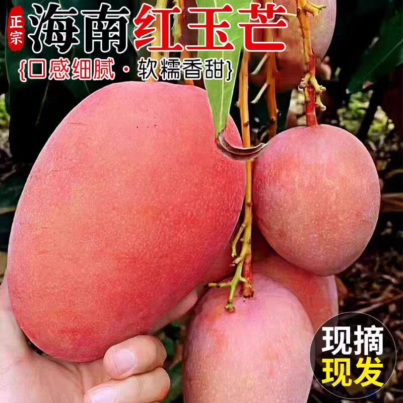 海南特产红玉芒三亚红色芒果当季新鲜水果特大果爱文9斤整箱包邮