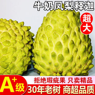 2025凤梨牛奶释迦果新鲜释迦水果当季番荔枝林檎果摩尼果整箱包邮