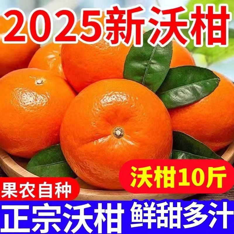 广西纯甜沃柑10斤橘子新鲜水果当季整箱沙糖蜜桔柑橘桔子产自武鸣