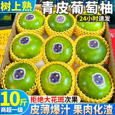 福建青皮葡萄柚爆汁现摘新鲜柚子孕妇水果甜西柚当季平和黄金蜜柚