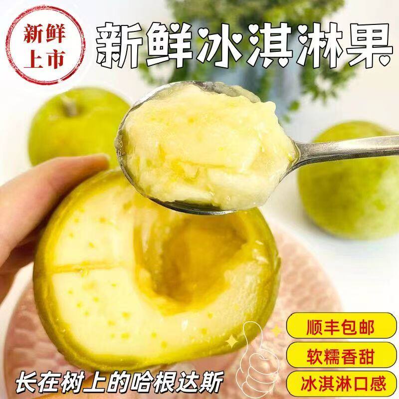 【顺丰包邮】新鲜冰淇淋果白柿热带水果现摘现发网红软糯