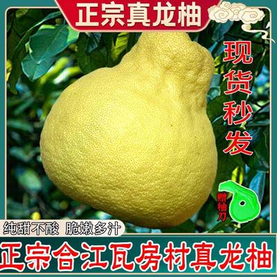 【瓦房村】四川泸州特产合江真龙柚新鲜水果纯甜10斤非沙田柚子