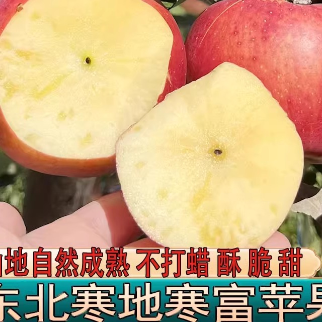 东北寒富苹果5斤水果新鲜当季整箱红脆甜应季现季糖心大苹果平