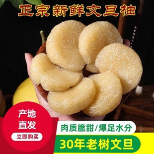 文旦柚子当季新鲜孕妇水果白心非红心蜜柚40斤产地浙江玉环楚门