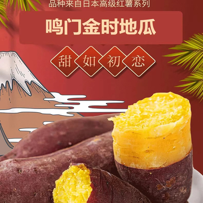 正宗鸣门金时地瓜海南澄迈桥头富硒地瓜板栗红薯新鲜粉糯香甜5斤