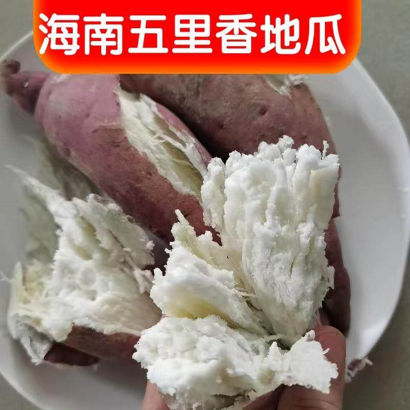 海南白心红薯五里香地瓜新鲜板栗薯糯香甜三角宁牛奶薯爆皮王番薯,水产肉类/新鲜蔬果/熟食,番薯,淘宝优惠券,粉丝福利购,淘宝优惠卷